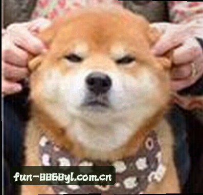 王浩